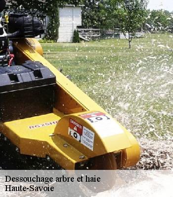 Dessouchage arbre et haie