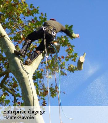 Entreprise élagage