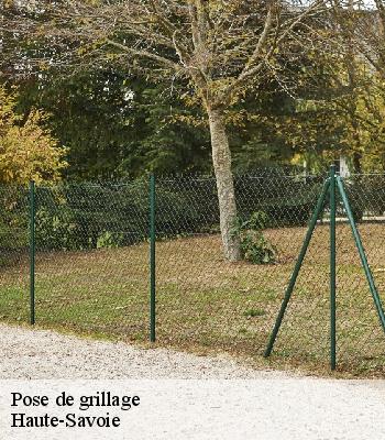 Pose de grillage