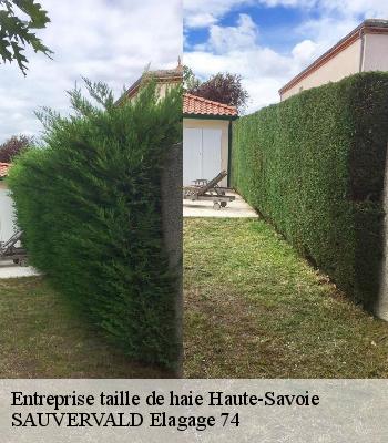 Entreprise taille de haie