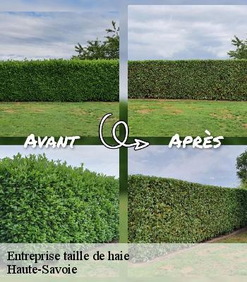 Entreprise taille de haie