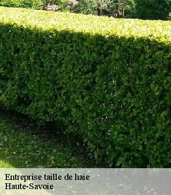 Entreprise taille de haie