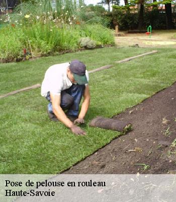 Pose de pelouse en rouleau