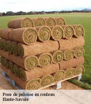 Pose de pelouse en rouleau