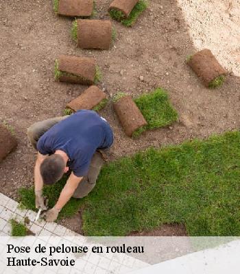 Pose de pelouse en rouleau