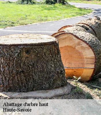Abattage d'arbre haut