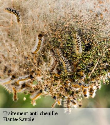 Traitement anti chenille