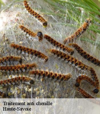 Traitement anti chenille