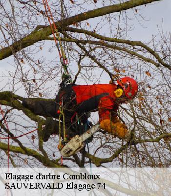 Elagage d'arbre