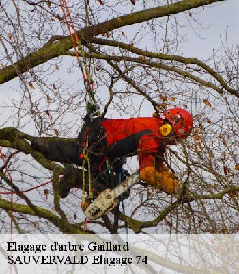 Elagage d'arbre