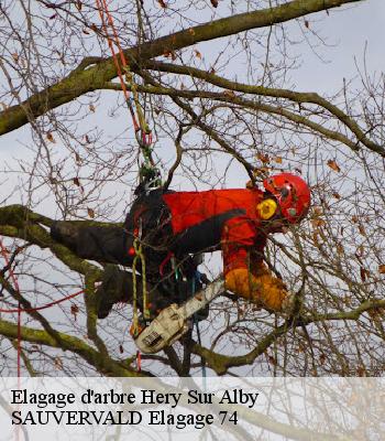 Elagage d'arbre