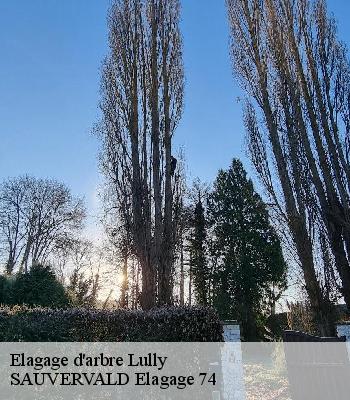 Elagage d'arbre