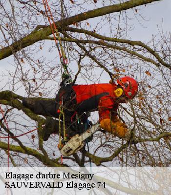 Elagage d'arbre