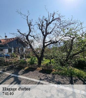 Elagage d'arbre