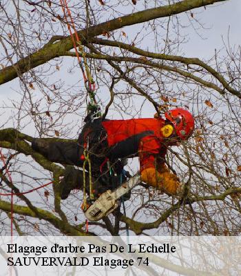Elagage d'arbre