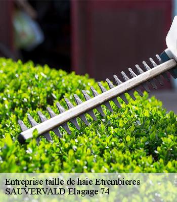 Entreprise taille de haie