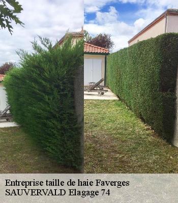 Entreprise taille de haie