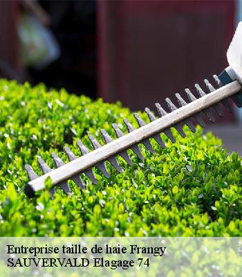 Entreprise taille de haie