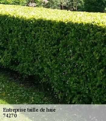 Entreprise taille de haie