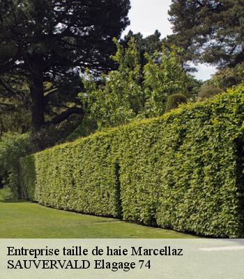 Entreprise taille de haie