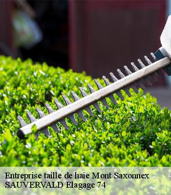 Entreprise taille de haie