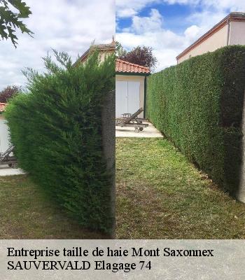 Entreprise taille de haie