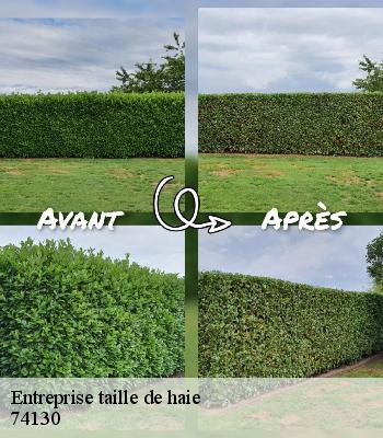 Entreprise taille de haie
