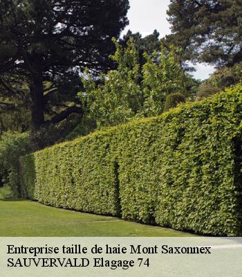 Entreprise taille de haie