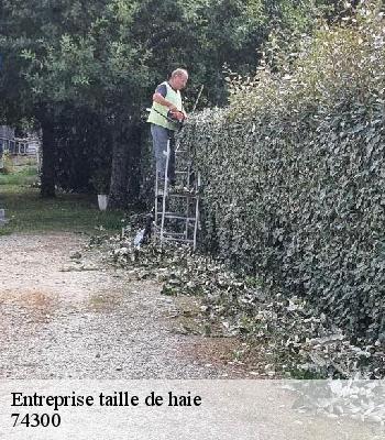 Entreprise taille de haie