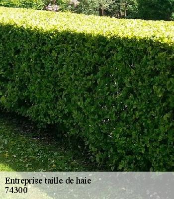Entreprise taille de haie