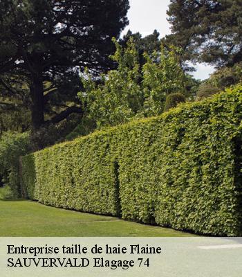 Entreprise taille de haie