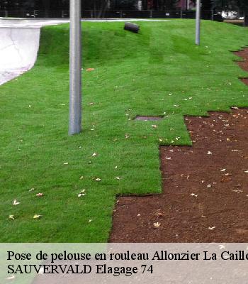 Pose de pelouse en rouleau