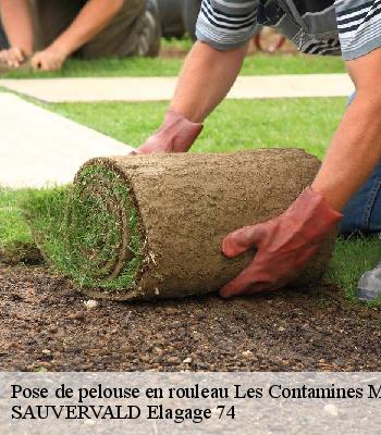 Pose de pelouse en rouleau