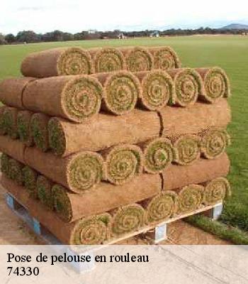 Pose de pelouse en rouleau