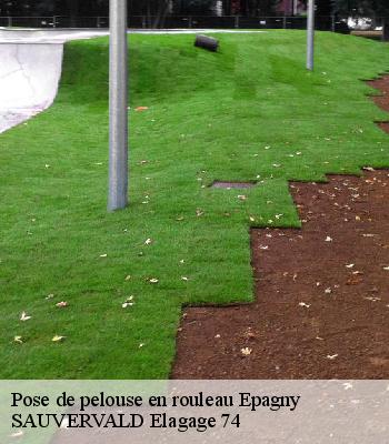 Pose de pelouse en rouleau