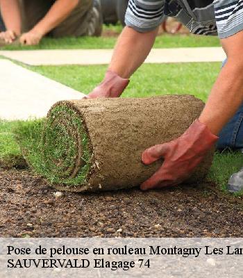 Pose de pelouse en rouleau