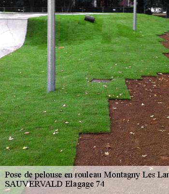Pose de pelouse en rouleau