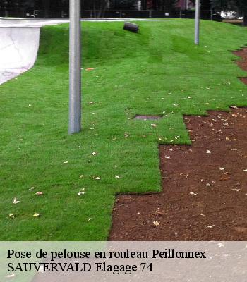 Pose de pelouse en rouleau