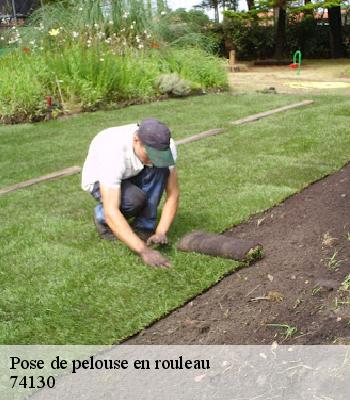 Pose de pelouse en rouleau