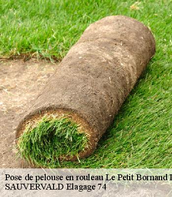 Pose de pelouse en rouleau