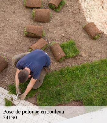 Pose de pelouse en rouleau