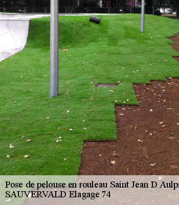 Pose de pelouse en rouleau