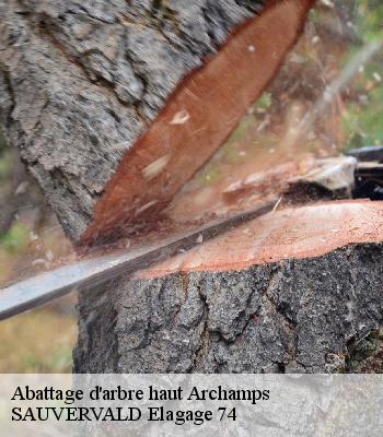 Abattage d'arbre haut