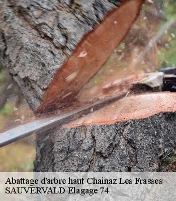 Abattage d'arbre haut