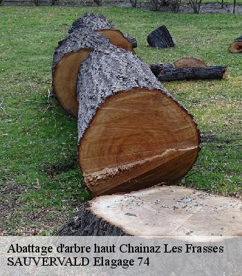 Abattage d'arbre haut