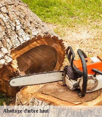 Abattage d'arbre haut