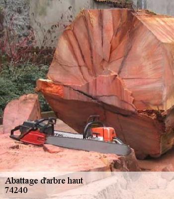 Abattage d'arbre haut