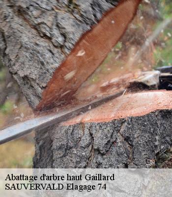 Abattage d'arbre haut