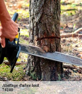 Abattage d'arbre haut