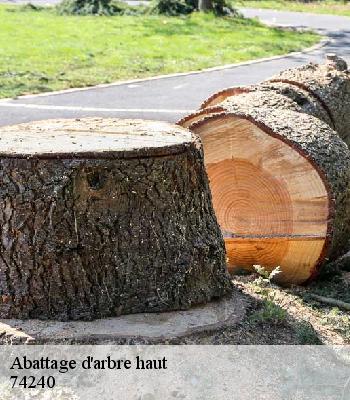 Abattage d'arbre haut